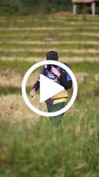 BIB:  <button type="button" onclick="openModal(26786862)" class="btn btn-primary btn-sm float-right" data-toggle="modal" data-target=".modal-high-quality">
                <i class="fa fa-download"></i> Download
                </button>